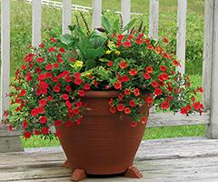 Deck Planter