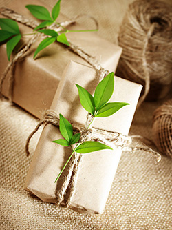 nature gift wrap