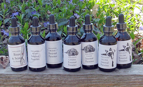 Bites Stings Suckers Solutions