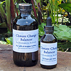 Climate Change Balancer