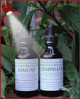 Immune Lymphatic Combo