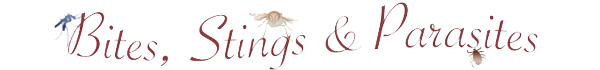Bites Stings Parasites Solutions
