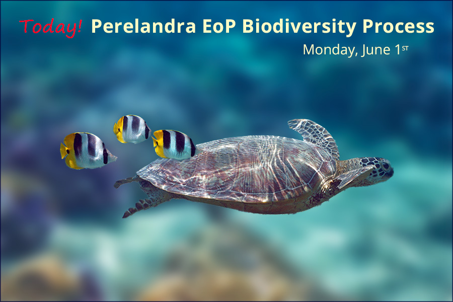 Perelandra-Bioidiversity_Jun26_900x600-b-final_hp
