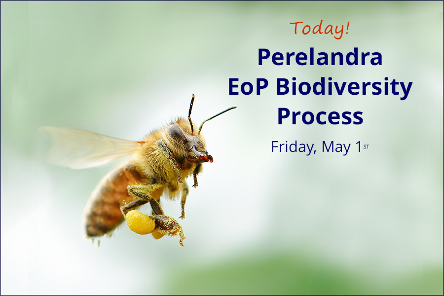 Perelandra-Bioidiversity_May26_900x600