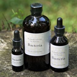Bacteria Solution