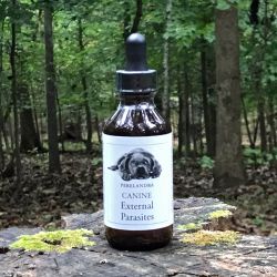 Canine External Parasites