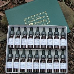 Perelandra Garden Essences Set