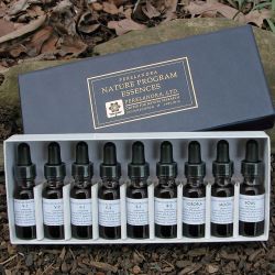 Perelandra Nature Program Essences Set