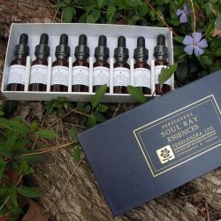 Perelandra Soul Ray Essences Set