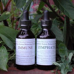 2-Bottle Combo: Immune & Lymphatic