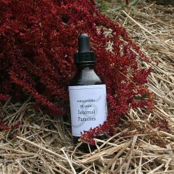 Human Internal Parasites