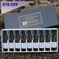 Perelandra Nature Program Essences Set