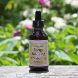 Energy Balancing and Stabilizing (EB&S)