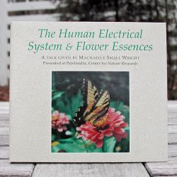 DVD: The Human Electrical System and Essences (Temporarily Unavailable)