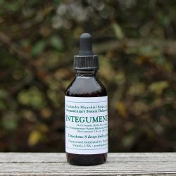 MBP Integumentary System Balancing Solution