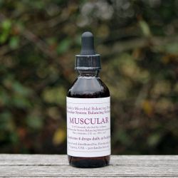 MBP Muscular System Balancing Solution