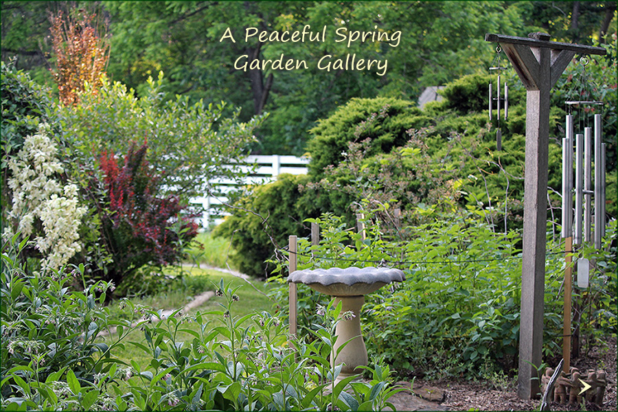 Garden-Gallery-Spring-2_Jun26_900x600