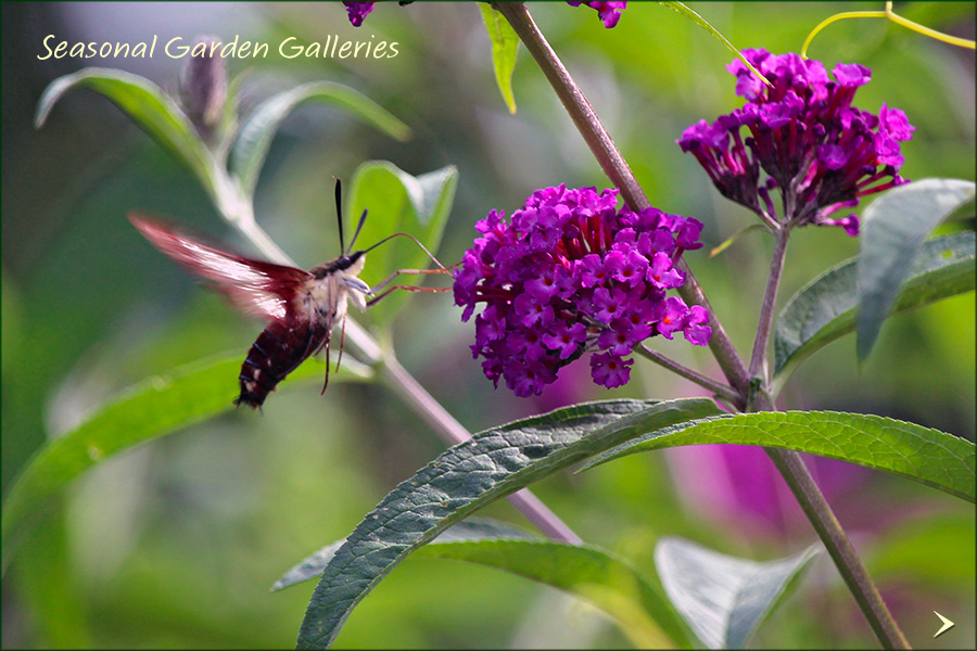 Seasonal-Galleries_Aug25_900x600