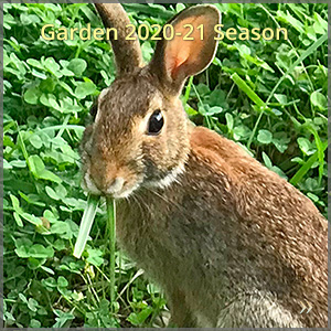 gallery_2021-season_300x300