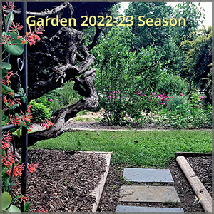 gallery_2223-season_300x300