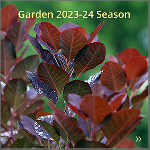 gallery_2324-season_300x300
