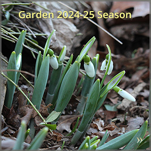 gallery_2425-season-b_300x300