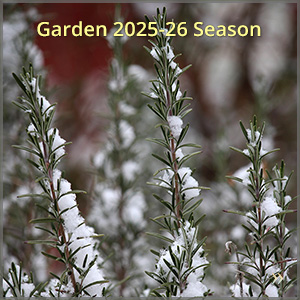 gallery_2526-season_300x300