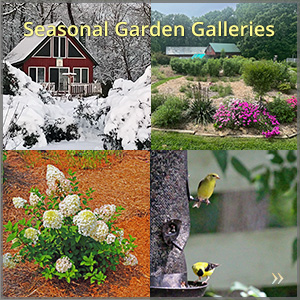 gallery_seaonal_300x300