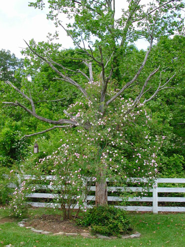 0405_week_10_2_500-2