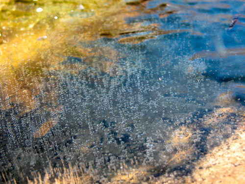 0405_week_13_7-2_500