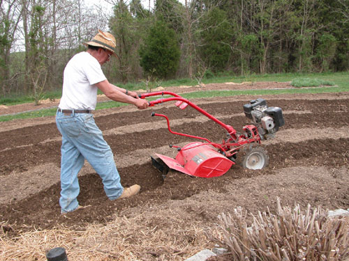 0405_week_31_2-2_500