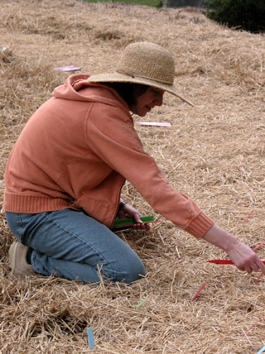 0405_week_33_3_500-2