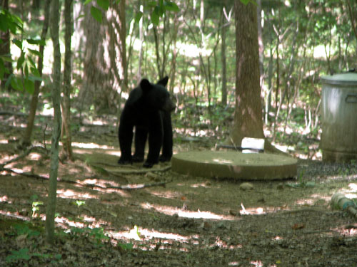 0405_week_40_9-2_500