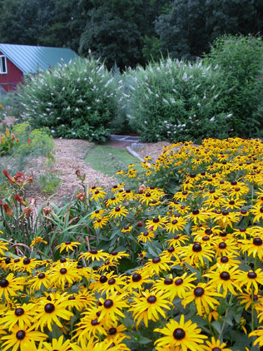 0405_week_45_6_500_1