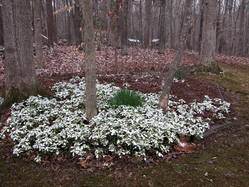 0506_week_27_2-2_500