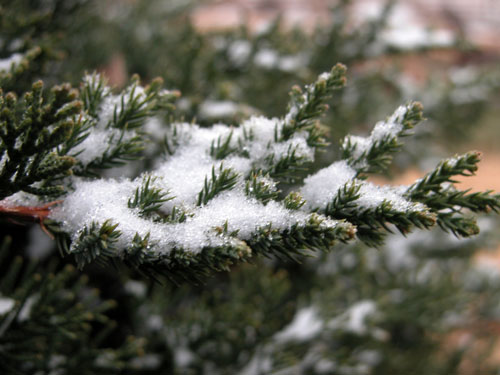 0506_week_27_2-3_500