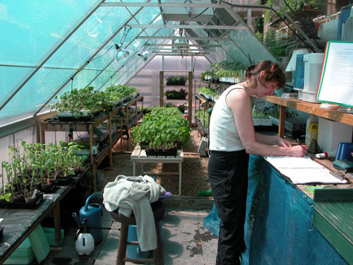 0506_week_29_4-1_500