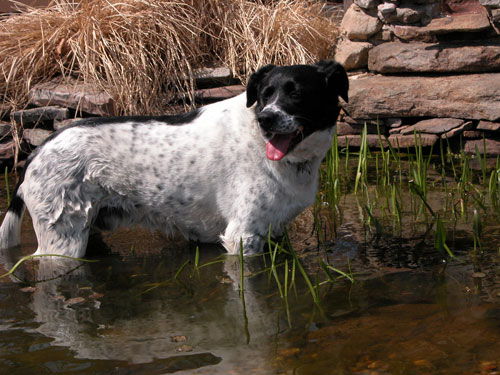 0506_week_29_6-2_500