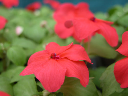 0506_week_30_3-3_500