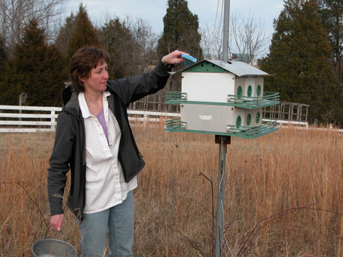 0506_week_21_2-1_500