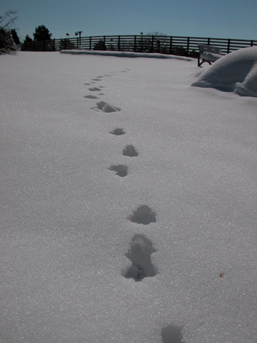 0506_week_22_3-2_500