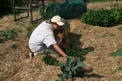 0708_week_40_4-1_500