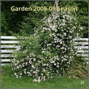 gallery_0809-season_300x300