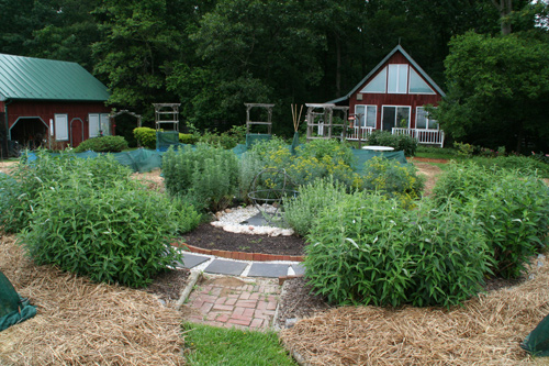 0809_week_39_3aa_500