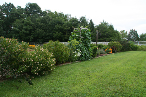 0809_week_51_10b-ly_500