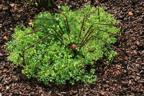 0809_week_51_10c_500