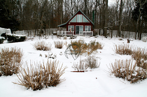 0809_week_51_1a-ly_500