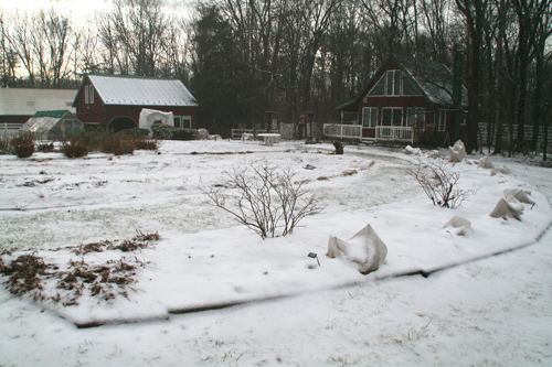 0809_week_51_3a-ly_500