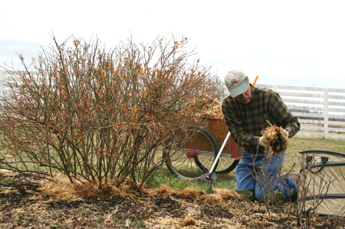 0809_week_51_3c-ly_500