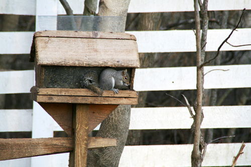 0809_week_51_6c-ly_500